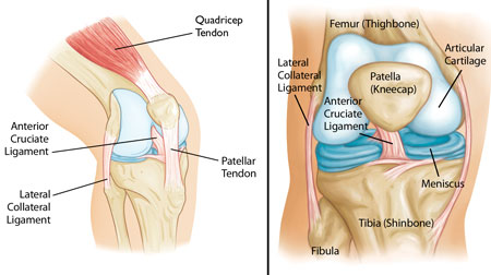 Common Knee Injuries_img1