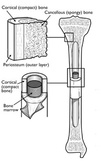 FracturePrincipals1