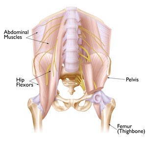 hip-strains-img1