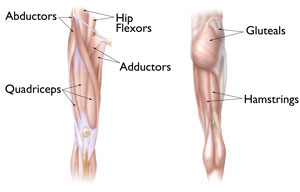 hip-strains-img2